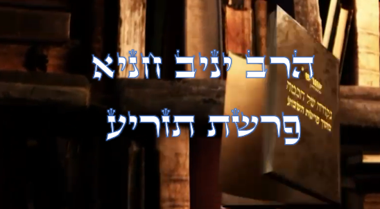 נקודה של חכמה פרשת תזריע.png